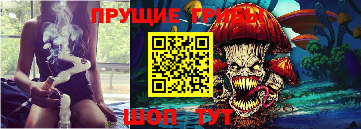 Псилоцибиновые грибы прущие грибы  Вход с VPN  Узловая 